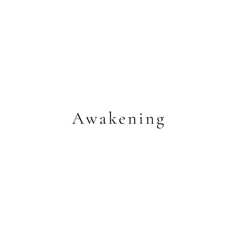 The Moment of Awakening